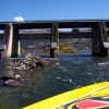 Zdjęcie z Nowej Zelandii - Splyw rzeka Shotover...