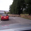 Zdjęcie z Nowej Zelandii - Droga zablokowana....