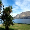 Zdjęcie z Nowej Zelandii - Jezioro Wakatipu