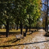 Zdjęcie z Polski - Park w centrum Augustowa