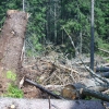 Zdjęcie ze Słowacji - Zniszczenia po huraganie