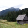 Zdjęcie z Polski - Typowy obrazek z Doliny
