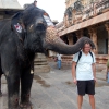 Zdjęcie z Indii - Błogosławione między słon