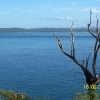 Zdjęcie z Australii - Widok na Nelson Bay