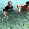 Zdjęcie z Tajlandii - Sesja z rybkami