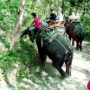 Zdjęcie z Tajlandii - Nasz slon to byl...