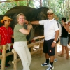 Zdjęcie z Tajlandii - Sesja z mlodymi slonikami