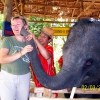 Zdjęcie z Tajlandii - Slodki buziak od slonika