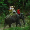 Zdjęcie z Tajlandii - Safari na sloniach
