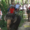 Zdjęcie z Tajlandii - Przejazdzka na słoniach