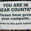Zdjęcie z Kanady - Uwaga, Niedźwiedzie!