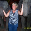 Zdjęcie z Tajlandii - Sesja ze sloniami...