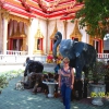 Zdjęcie z Tajlandii - Tajowie darza slonie...
