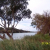Zdjęcie z Australii - Nad Murray River