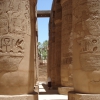 Zdjęcie z Egiptu - Człowiek i historia