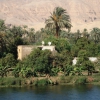 Zdjęcie z Egiptu - Nad Nilem.