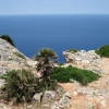 Zdjęcie z Hiszpanii - Lato na Majorce.
