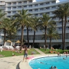 Zdjęcie z Tunezji - Przy naszym hotelu