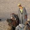 Zdjęcie z Tunezji - Wielbłądy