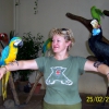 Zdjęcie z Malezji - Sesja z papuga i tukanem