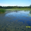 Zdjęcie z Polski - Jezioro Klucz