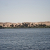 Zdjęcie z Egiptu - Nad brzegiem Nilu.