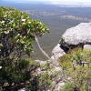 Zdjęcie z Australii - Widok ze szczytu...