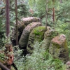 Zdjęcie z Czech - Skały w lesie...