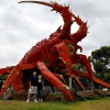 Zdjęcie z Australii - Wielki homar - symbol ...
