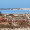 Zdjęcie z Australii - Slone jezioro i wydmy...