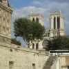 Zdjęcie z Francji - Katedra Notre - Dame