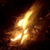 Zdjęcie z Australii - Plonie ognisko w lesie...