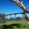 Zdjęcie z Australii - Most na rzece Murray...