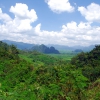 Tajlandia - Khao Sok - dżungla