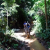 Zdjęcie z Tajlandii - Safari przez dzungle...