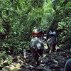 Zdjęcie z Tajlandii - Na sloniach przez...