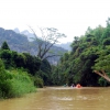 Tajlandia - Khao Sok - rzeka i małpy