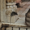 Zdjęcie z Indii - Świątynia szczurów