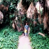 Zdjęcie ze Stanów Zjednoczonych - Sanktuarium palm.