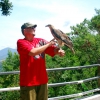 Zdjęcie z Tajlandii - Fotka z orlem