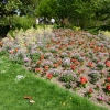 Zdjęcie z Francji - Park Floral.