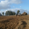 Zdjęcie z Etiopii - Wieś