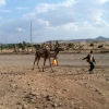 Zdjęcie z Etiopii - Przechodzień