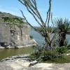Zdjęcie ze Stanów Zjednoczonych - Seminole - Rio Grande.
