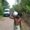 Zdjęcie ze Sri Lanki - Wiejski obrazek