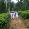 Zdjęcie ze Sri Lanki - Powrót ze szkoły