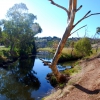 Zdjęcie z Australii - Rzeka Onkaparinga...