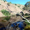 Zdjęcie z Australii - Rzeka Onkaparinga...