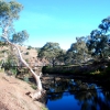 Zdjęcie z Australii - Wiszaca kladka nad rzeka