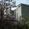 Zdjęcie z Polski - Zamek w magnoliach